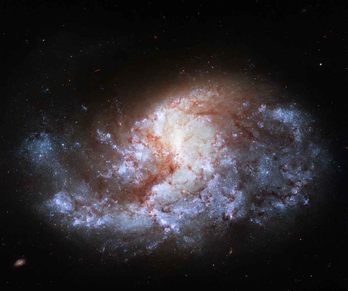 NGC 1385星系中心有大量成長中的黑洞。（ESA/Hubble & NASA）