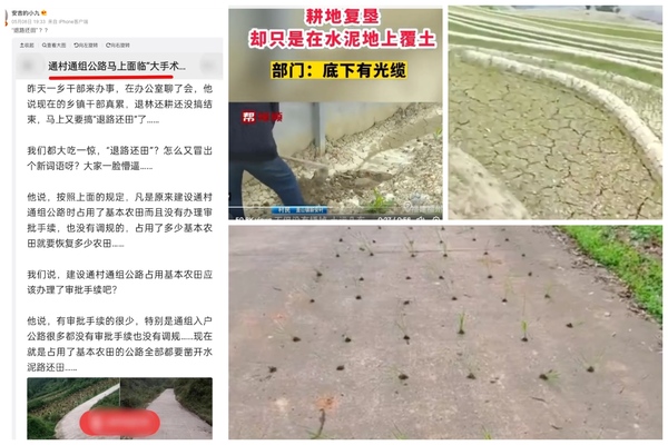 中共「退林還耕」亂象 水泥地上種莊稼