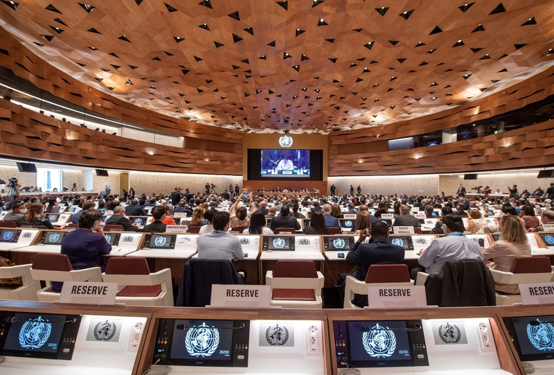 第75屆世界衛生大會2022年5月22日開議。（Jean-Guy Python/AFP）