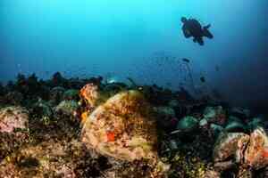 古代沉船現璀璨寶藏 揭地中海千年遺蹟面紗