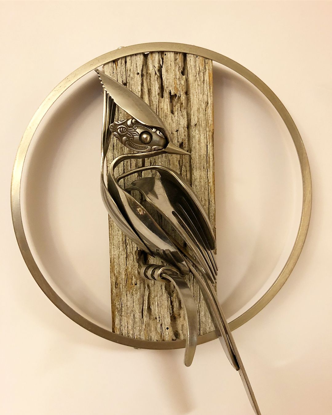 （馬特‧威爾遜提供）