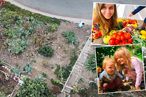 庭院荒地變大型蔬果園 夫婦為社區提供食物
