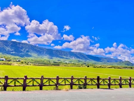 壯麗的大山很美,但更動人的,是藏在山裏的人情味。(圖/王芊芊提供)