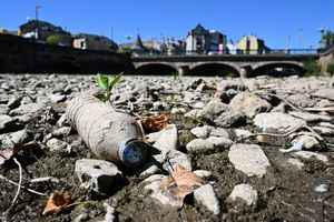 歐洲多地兩個月無大雨 河乾魚死 酷熱再襲