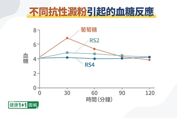 比較RS2、RS4對血糖的影響，RS4效果更好。（健康1+1／大紀元）
