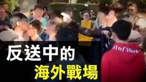 【拍案驚奇】狂熱或理性 香港反送中海外戰場