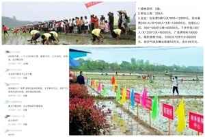 河南公務員3天插2畝秧花費49萬 引質疑