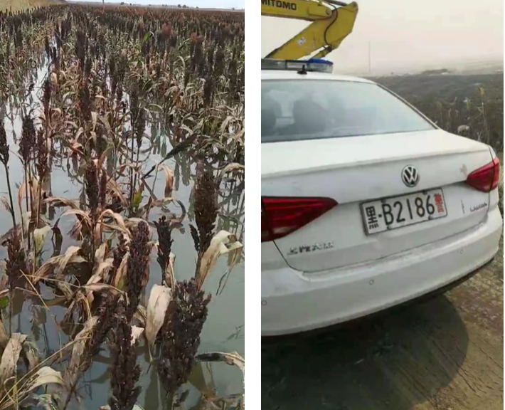 左圖，黑龍江省富裕縣被淹後的農作物；右圖，2020年7月2日，當地政府勾結公安阻止農民抗洪自救莊稼。（受訪者提供／大紀元合成）