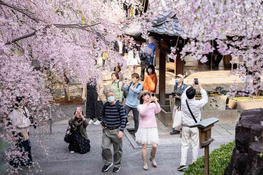 分析：中共打壓下 日本觀光業反迎歷史高峰