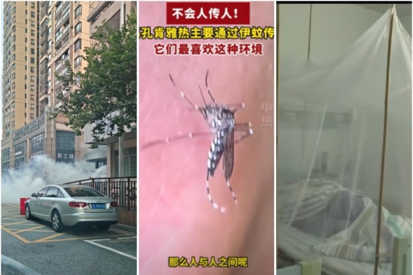 廣東爆基孔肯雅熱疫情 強制隔離患者惹不滿
