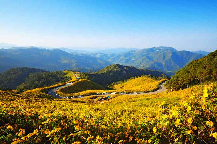 深秋序曲：寒露節氣道是無情還有情 一花健身美顏