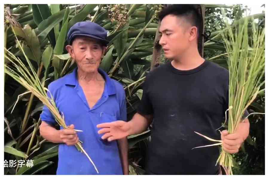 楊佳佳：從交公糧到交社保——中共的吸血騙局
