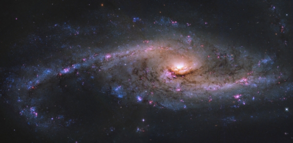 美國NASA的哈伯太空望遠鏡拍攝的NGC 4536星系圖片。 (NASA/ESA/Space Telescope Science Institute/Catholic University of America)
