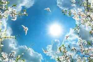 肖承恩：當財富不再是社會潮流的指南針