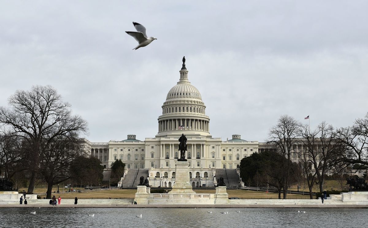 美國國會。（MANDEL NGAN/AFP/Getty Images）