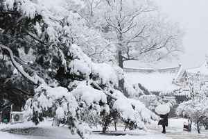 南韓連續第二天暴雪 五人死亡 逾百航班取消