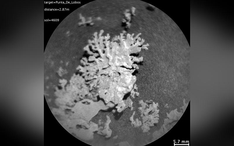 NASA好奇號發現火星上數十億年前「珊瑚」