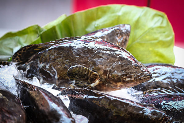 因應中共暫停台灣石斑魚輸入，全聯福利中心2022年6月22日在新北市全聯中和新生店舉辦石斑魚推廣活動，向民眾介紹優質的在地漁產，希望能照顧漁民、減少損失。（中央社）