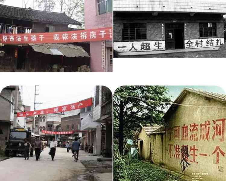 楊佳佳：「百日無孩」運動是中共的滅絕性暴行