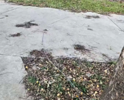 天降橫禍 洛陽老人公園騎車被鐵絲割頸身亡