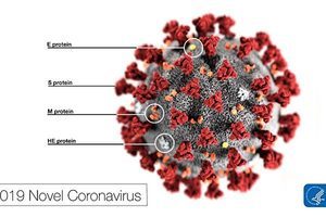 美疾控中心發佈新肺炎病毒圖片和篩檢影片