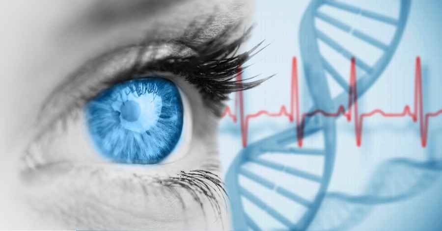 研究：決定眼睛顏色的基因不簡單