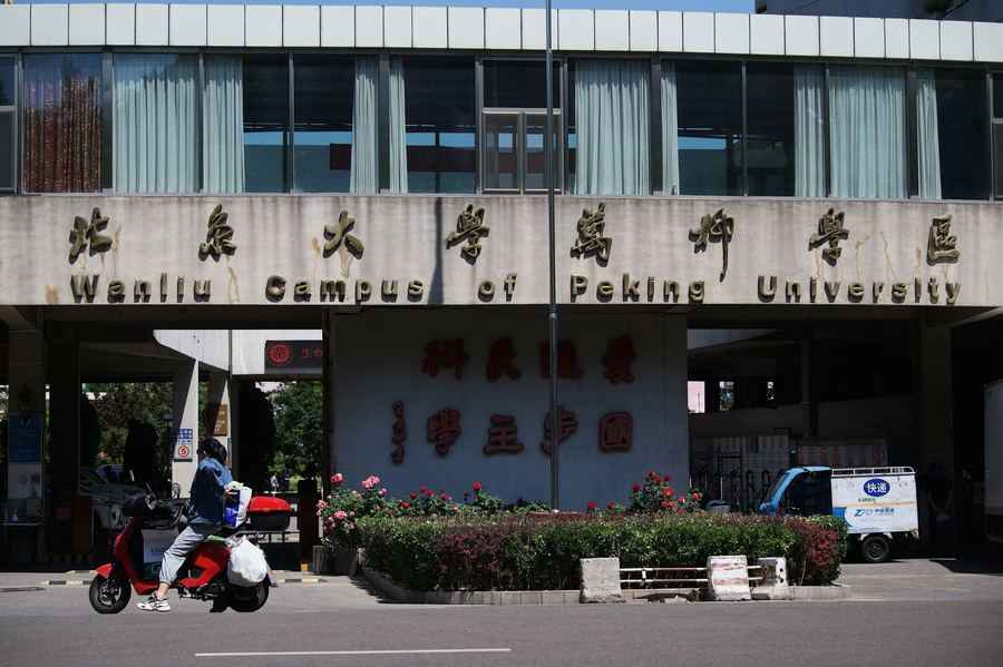 中國大學生養紙盒狗「深夜爬行」被約談警告