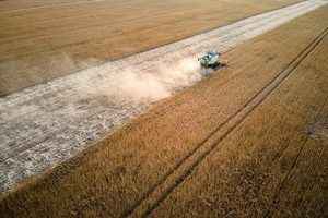 各國積極應對糧食短缺 印度成小麥主要出口國