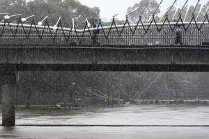 悉尼雨量已超2千毫米 今年或破紀錄