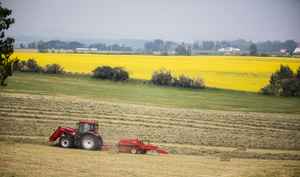 中共解除長達三年對加拿大產油菜籽貿易禁令