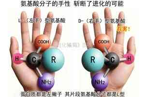 進化騙局(14) 化學進化遭概率瓦解
