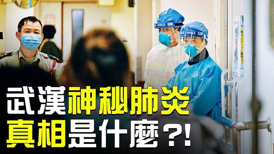 越南現2宗疑似中共肺炎病例 全球8地響警報