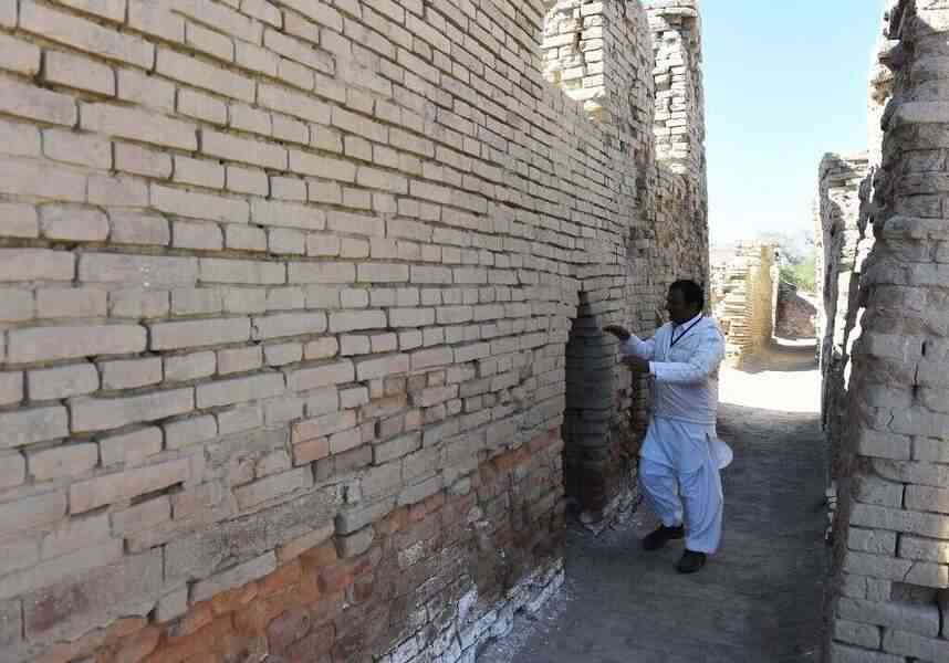 考古揭示地中海和印度河古文明秘密