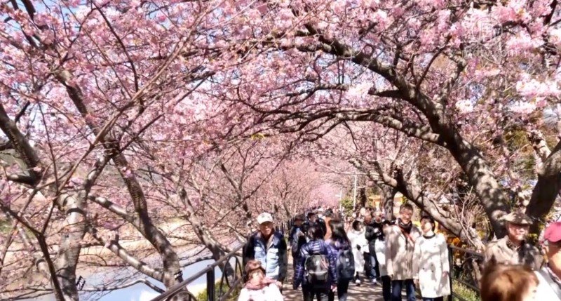 中國公民在日本入籍和居留的外國人中雙居第一