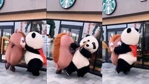 Starbucks門外「熊貓」大戰「野豬」 引發網路笑翻