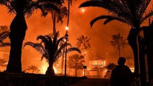 希臘雅典大火燒燬逾半森林 恐釀生態浩劫