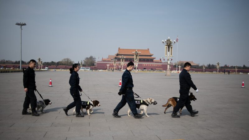 圖為2019年3月中共警察傷害警犬在天安門廣場巡邏。（FRED DUFOUR/AFP/Getty Images）