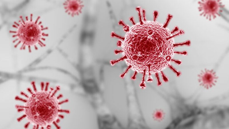 新型冠狀病毒（中共病毒）示意圖。（Shutterstock）