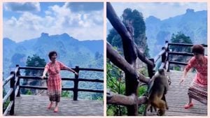 中國大媽在景區唱歌跳舞 猴子趁機搶走包包