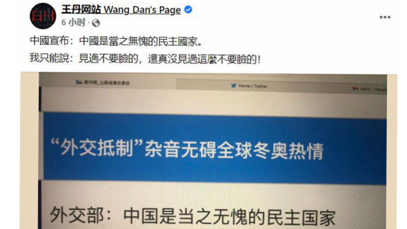 中共外交部副部長樂玉成2日聲稱「中國是當之無愧的民主國家」。對此，旅美的中國民運人士王丹在Facebook發文回嗆道，「真沒見過這麼不要臉的。」（王丹Facebook截圖）