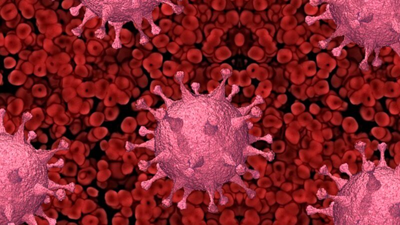 2022年4月2日，蘇州通報發現新冠病毒全新變異毒株，是全球首例。Omicron病毒資料圖。（pixabay.com）