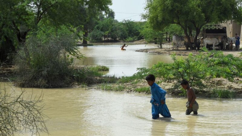 30年來最大降雨釀暴洪 巴基斯坦一個月奪走549命