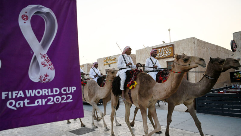 世界盃2022｜卡塔爾APP安全隱患大 歐盟機構提醒球迷勿下載