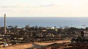 夏威夷山火｜災區僅搜尋3%已93死 罹難者屍首支離破碎