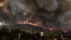 山火連燒9天 希臘當局下令更多民眾撤離家園