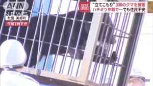 日本熊出沒 秋田4人遭襲 新幹線一度停駛