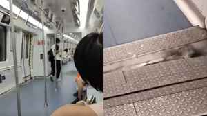深圳地鐵車廂現不明劇烈抖動 乘客從隧道撤離