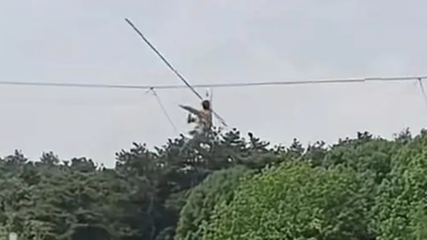 吉林男演員高空走鋼絲墜落 生死不明（影片）