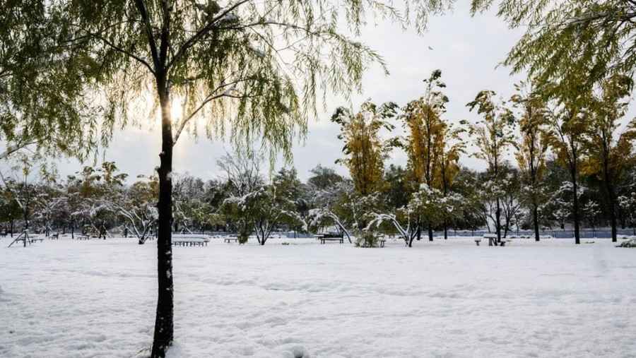 南韓異常大雪 高速公路連環追撞 至少4死11人傷