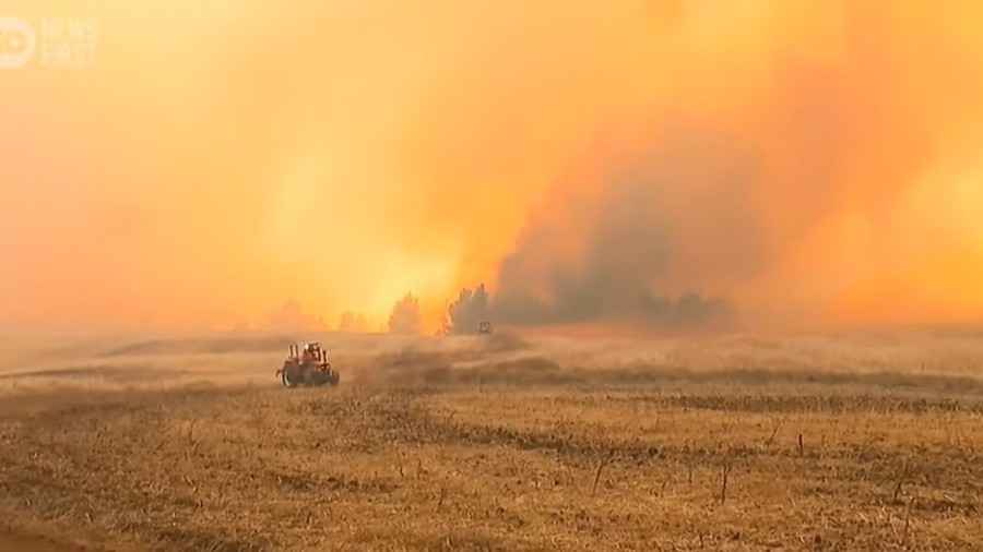 阿根廷森林大火跨境延燒 智利多地野火惡化